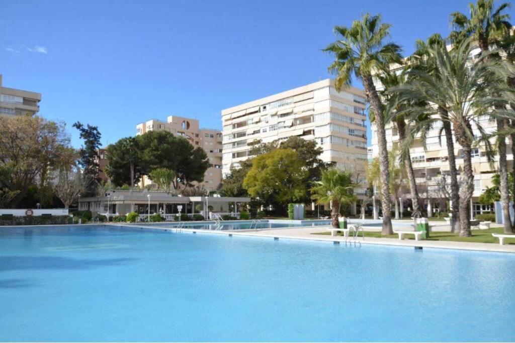 Garden Apartment With Pool And Ac 阿利坎特 外观 照片